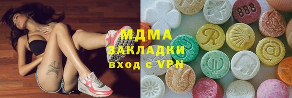 СК Алексин