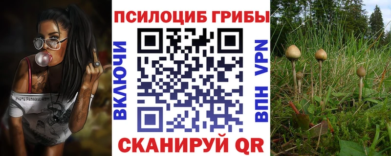 мега ONION Тотьма Псилоцибиновые грибы мухоморы