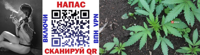 где продают   Тотьма  Бошки марихуана Ganja 